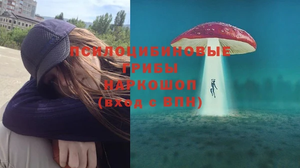 Альфа ПВП Абаза