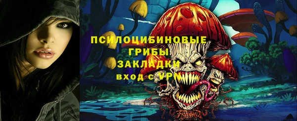 Альфа ПВП Абаза